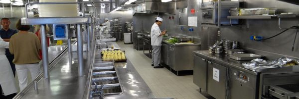 Vessel Sanitation Program Integrated Pest Management Kammerjäger Nordenham, Kammerjäger Oldenburg, Kammerjäger Bremen, Wespen vertreiben, Ratten im Haus, Ratten im Garten, Marder vertreiben, Mäuse im Haus, Ratten bekämpfen