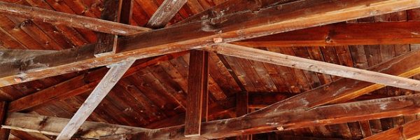 Holz-und-Bautenschutz-Holzwurm-im-Dachbalken Holzwurm im Dachbalken, Holzwürmer im Dachbalken