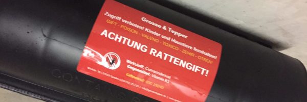 Ratten bekaempfen Kammerjäger Nordenham, Kammerjäger Oldenburg, Kammerjäger Bremen, Wespen vertreiben, Ratten im Haus, Ratten im Garten, Marder vertreiben, Mäuse im Haus, Ratten bekämpfen